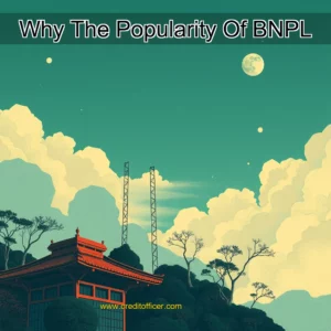 Read more about the article Why The Popularity Of BNPL