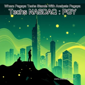 Read more about the article Where Pagaya Techs Stands With Analysts  Pagaya Techs  NASDAQ : PGY