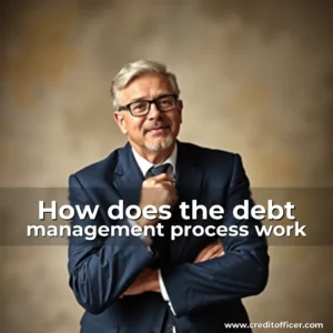 Read more about the article How does the debt management process work