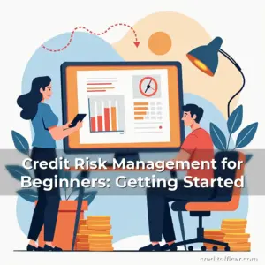 Artistic representation for Credit Risk Management for Beginners: Getting Started
